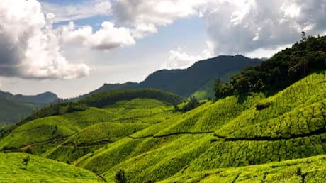 Munnar