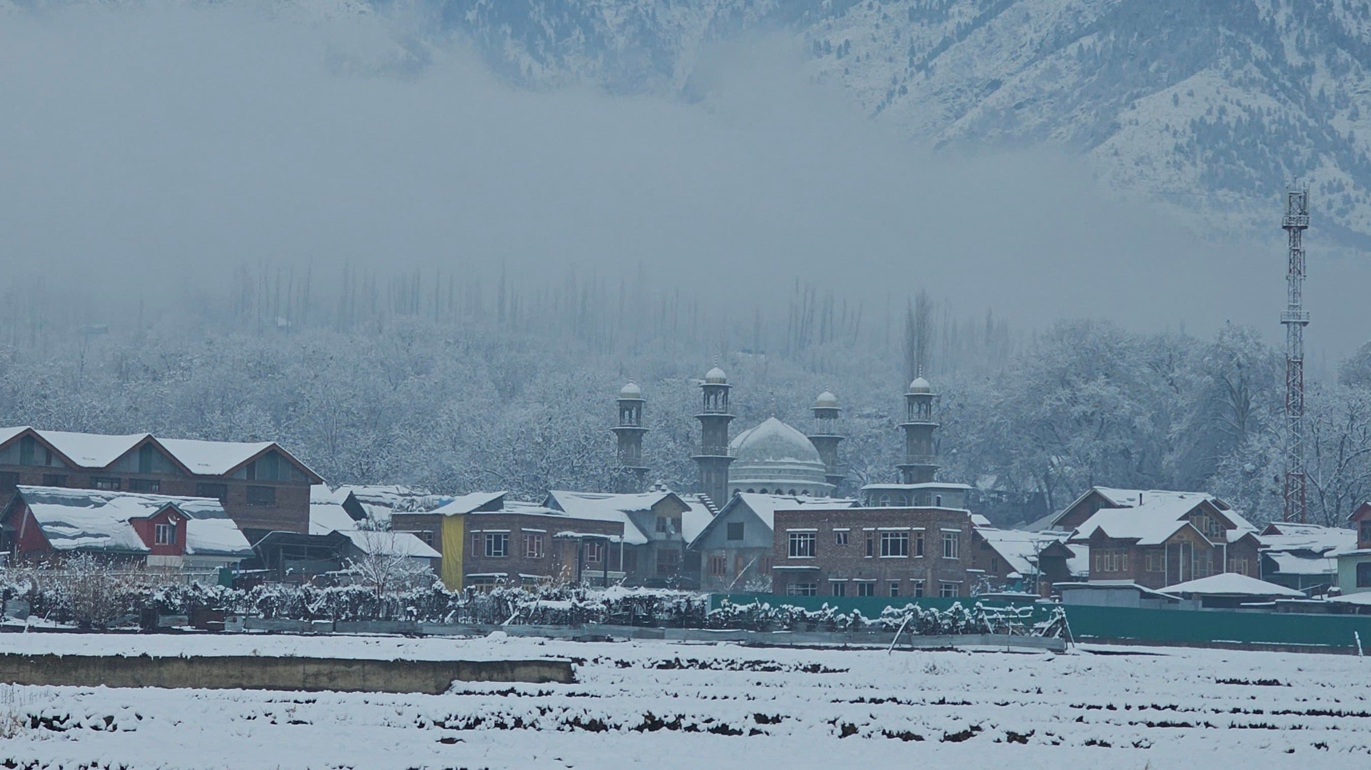 Magical Kashmir Getaway - Gallery Image 6