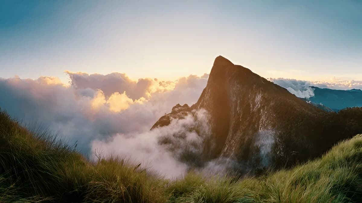 MUNNAR - Gallery Image 5