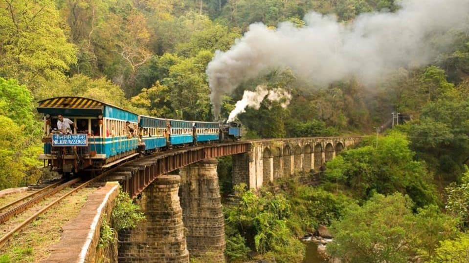 OOTY - Gallery Image 7