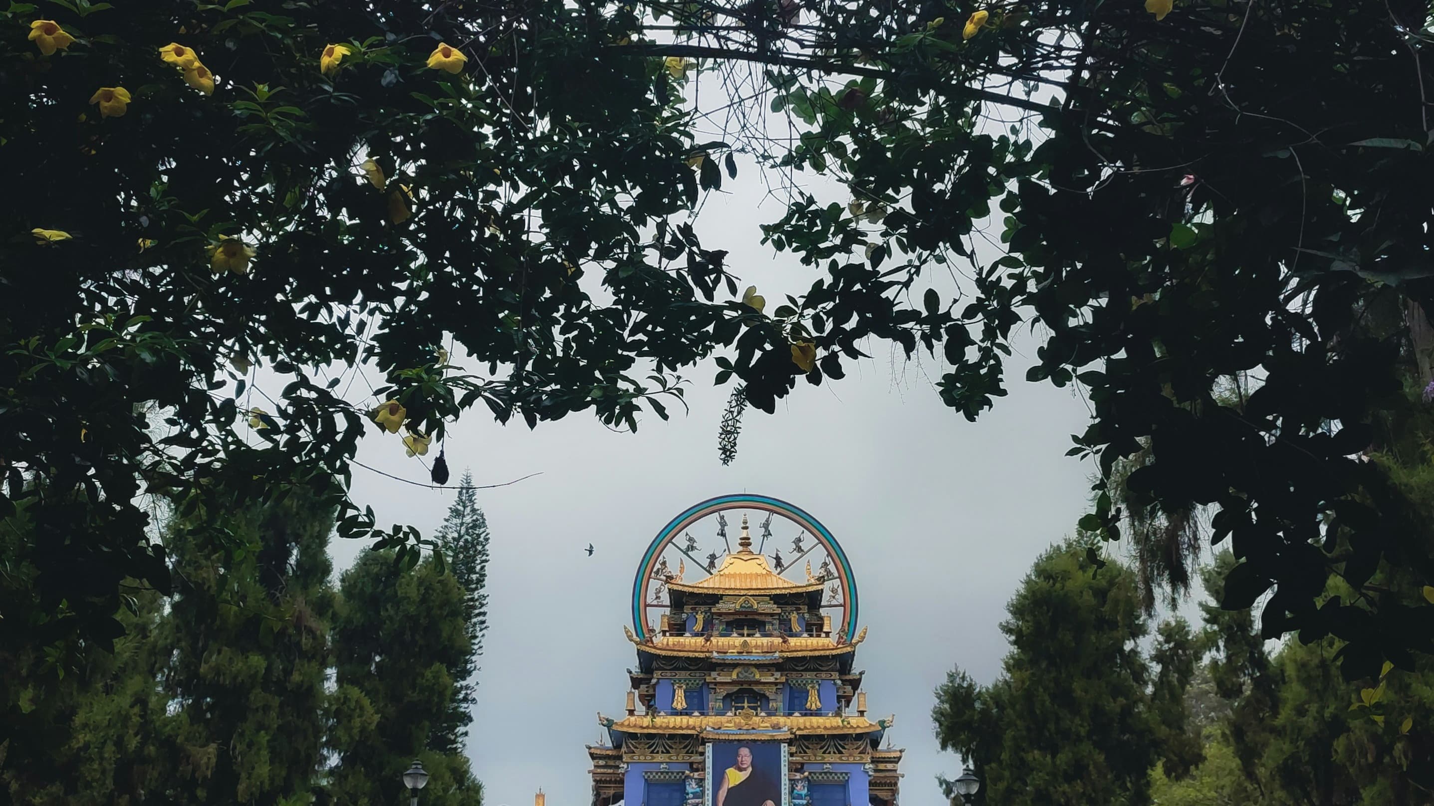 COORG - Gallery Image 5